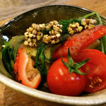 囲炉裏料理わ - 夏野菜のサラダ