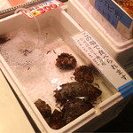 近江町刺身市場 - サザエもあります。