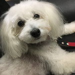 旬美にしかわ - 