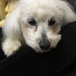 旬美にしかわ - 