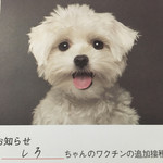 旬美にしかわ - 