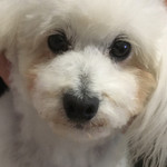 旬美にしかわ - 