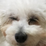 旬美にしかわ - 