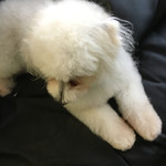 旬美にしかわ - 