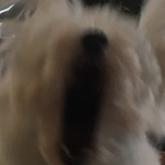 旬美にしかわ - 私が外出する時…こんな感じで送り出してくれます…