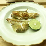 懐石料理 桝田 - 鮎