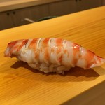 鮨 あらい - 車海老