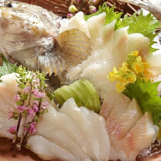 宮城の海の幸・山の幸・板前料理 晴れの日_2