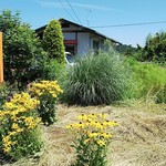 楓 - のどかな場所です