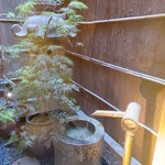 祇園 鮨 忠保 - カウンターから見える箱庭