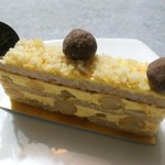 アカシエ - デリス・マカダミア