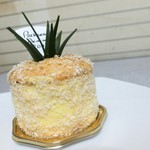 アカシエ - オキナワナナス