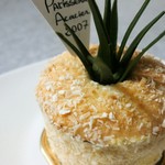 オキナワナナス