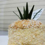 アカシエ - オキナワナナス