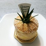 アカシエ - オキナワナナス