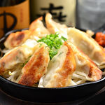 Nagoya Cochin Gyoza / Dumpling takeaway OK