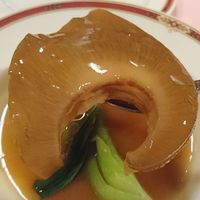 赤坂 四川飯店 - フカヒレの姿煮込み