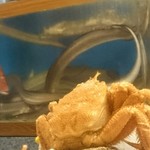 割烹 やました - 毛蟹の向こうに鱧