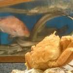 割烹 やました - 