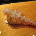 天寿し - 車海老