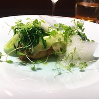 TACUBO - 