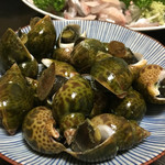 天一 - バイ貝  雌は柔らかく濃厚