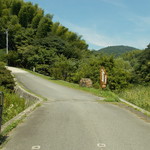 アウストロ - 敷地入口から駐車場までの道