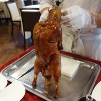 China Four Seasons 六本木店 - 無理に立たせます。