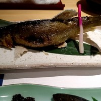 柳家錦 - 長良川産の鮎