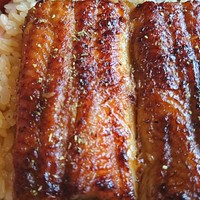 鰻割烹 伊豆栄 本店 - 涼蓮コース  鰻重