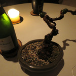 AZUR et MASA UEKI - アミューズ