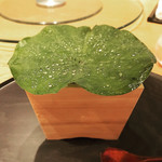 カモシヤ クスモト - 