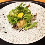 カモシヤ クスモト - 