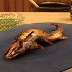 緒方 - 福井県足羽川の鮎の塩焼き
