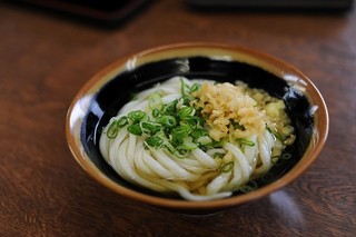 Shirakawa Udon, Zentsuji, Japan