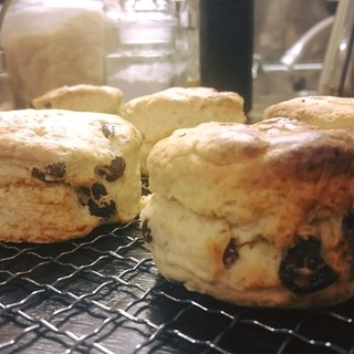 Britishcafe&Gift TomoDoll_1