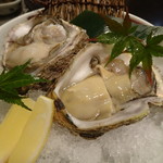 禅紫 - 岩牡蠣(宮城)