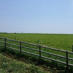 菜な家 - 能取岬牧場