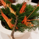 レストラン・モリエール - 