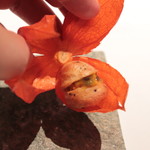 モトイ - 磯の香りのグジェール