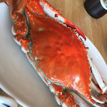 まるは食堂旅館 - コースの渡り蟹 大きい！