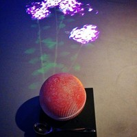 佐賀牛 Sagaya 銀座 - 
