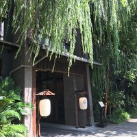 THE KAWABUN NAGOYA - 立派な柳が…