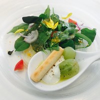 IL PINOLO 梅田 - 