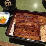 Unagi Fujita - 