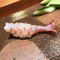 天寿し 京町店 - 