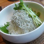 手打 たけうち - じゃこ辛味大根おろし５００円★★★☆