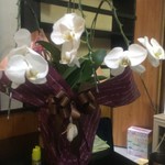 ピッザピッザピッザ - 