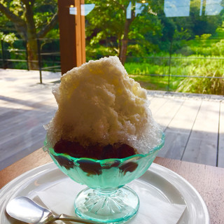 カフェ・フリーク_1