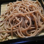 嘉一 - 三色盛りの田舎蕎麦。歯応え抜群のゴワゴワ系！！